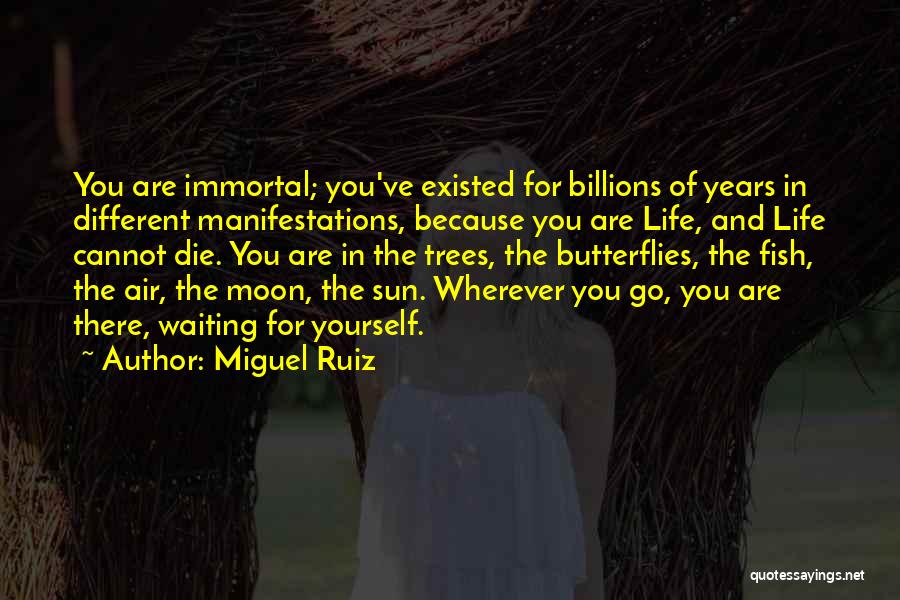 I've Got Butterflies Quotes By Miguel Ruiz