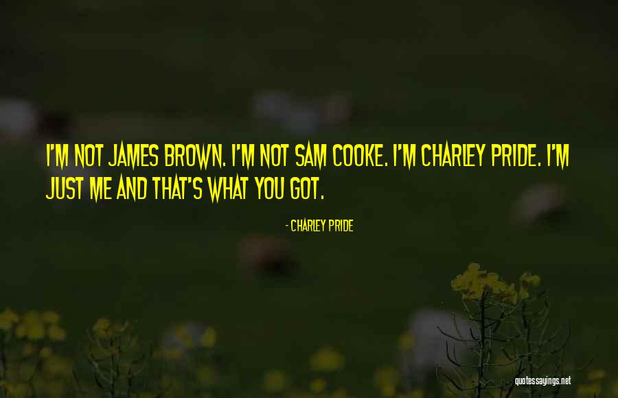I've Got Pride Quotes By Charley Pride I've Got Pride Quotes By Charley Pride