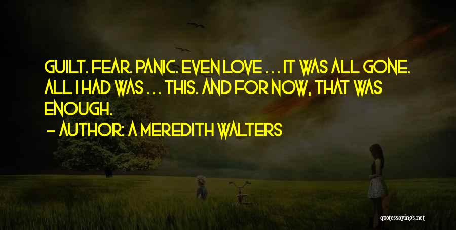 I've Had Enough Now Quotes By A Meredith Walters