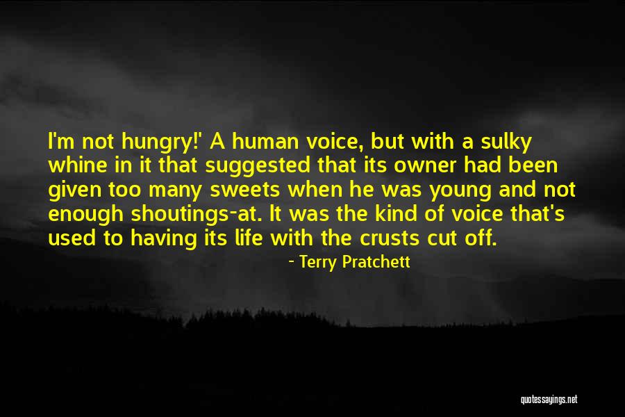 I've Had Enough Of Life Quotes By Terry Pratchett