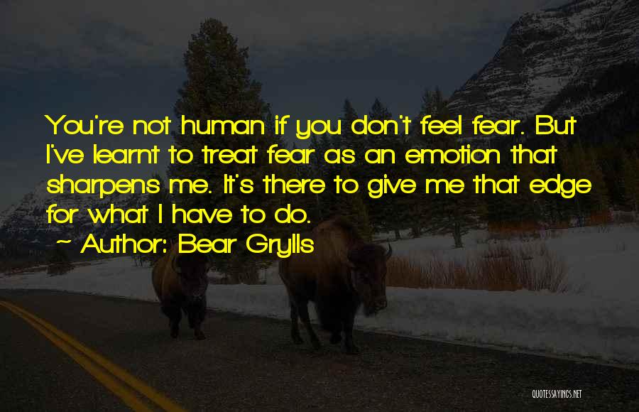 I've Learnt Quotes By Bear Grylls