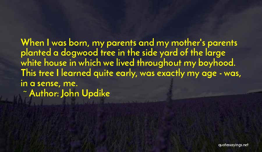 I've Lived And Learned Quotes By John Updike