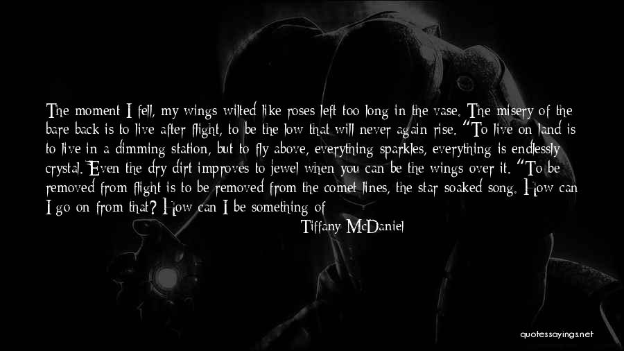 I've Lost Quotes By Tiffany McDaniel I've Lost Quotes By Tiffany McDaniel