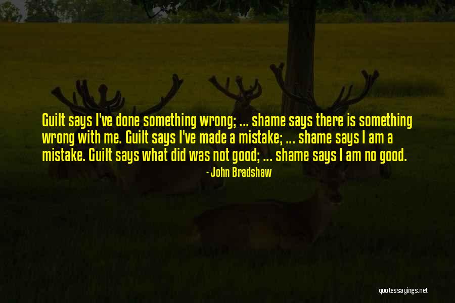 I've Made Mistake Quotes By John Bradshaw