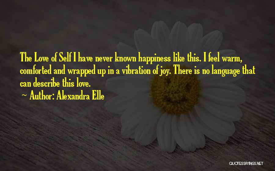 I've Never Known A Love Like This Quotes By Alexandra Elle