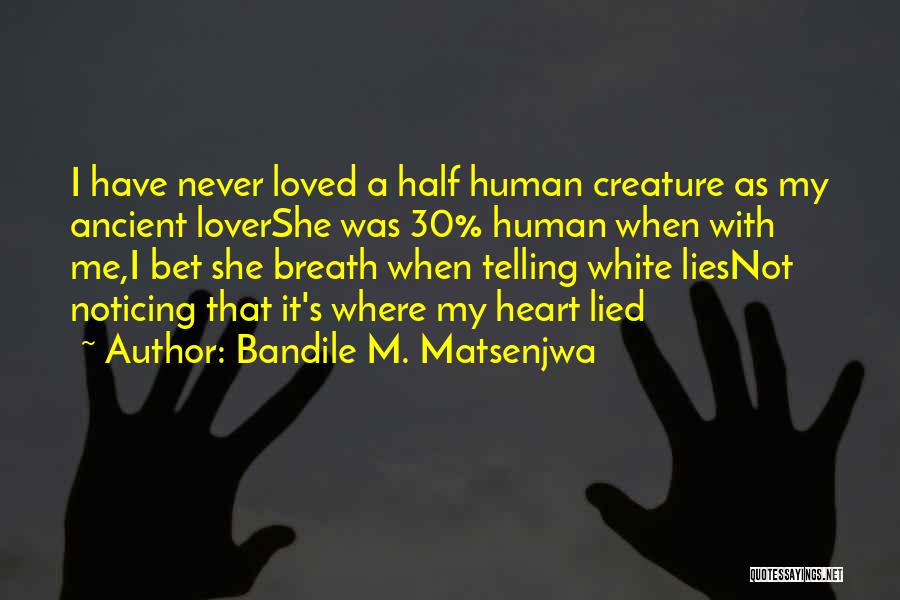 I've Never Lied Quotes By Bandile M. Matsenjwa