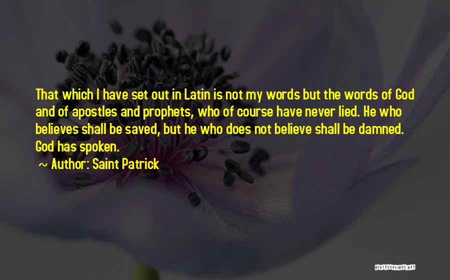 I've Never Lied Quotes By Saint Patrick