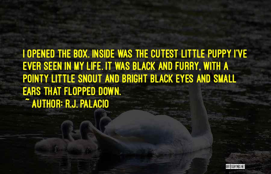I've Opened My Eyes Quotes By R.J. Palacio