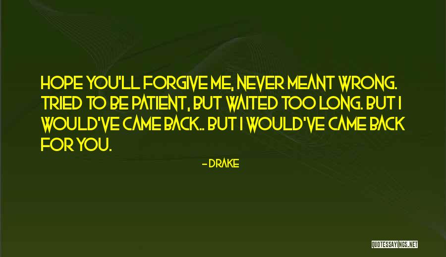 I've Waited For You Quotes By Drake