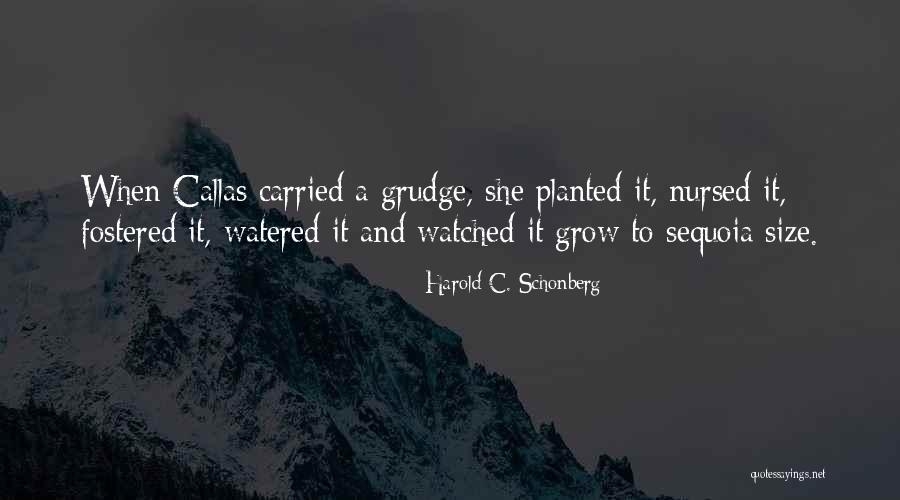 I've Watched You Grow Quotes By Harold C. Schonberg I've Watched You Grow Quotes By Harold C. Schonberg