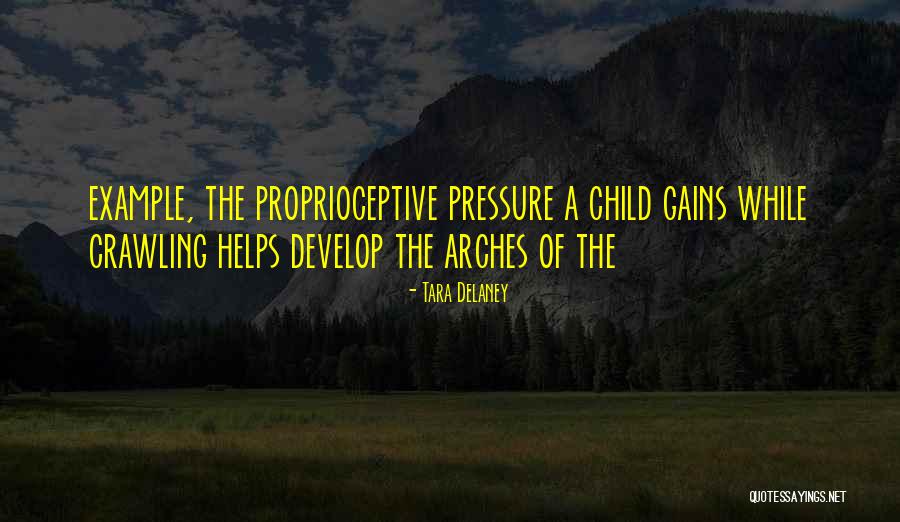 Ivelina Quotes By Tara Delaney Ivelina Quotes By Tara Delaney