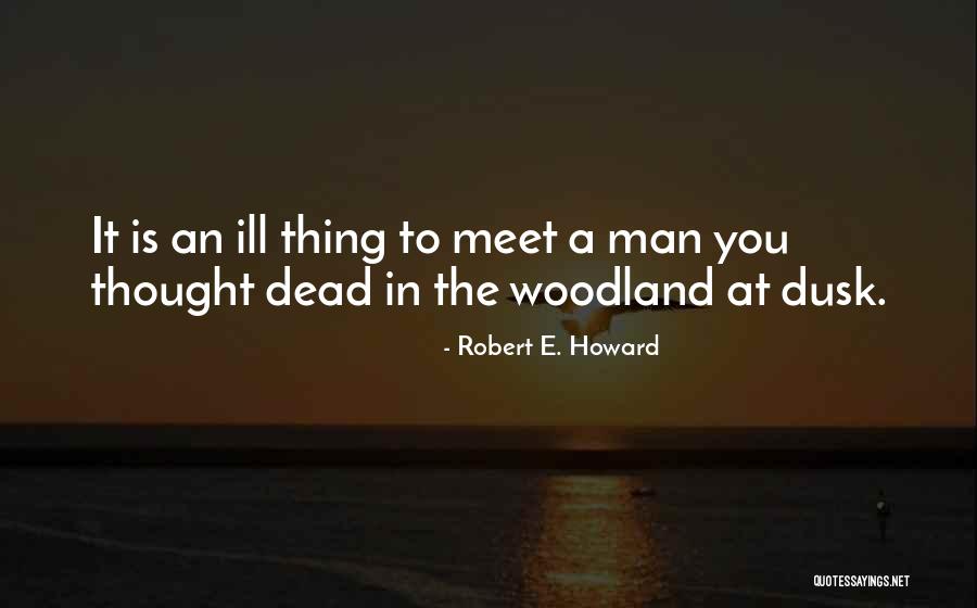 Ivena International Patio Quotes By Robert E. Howard Ivena International Patio Quotes By Robert E. Howard