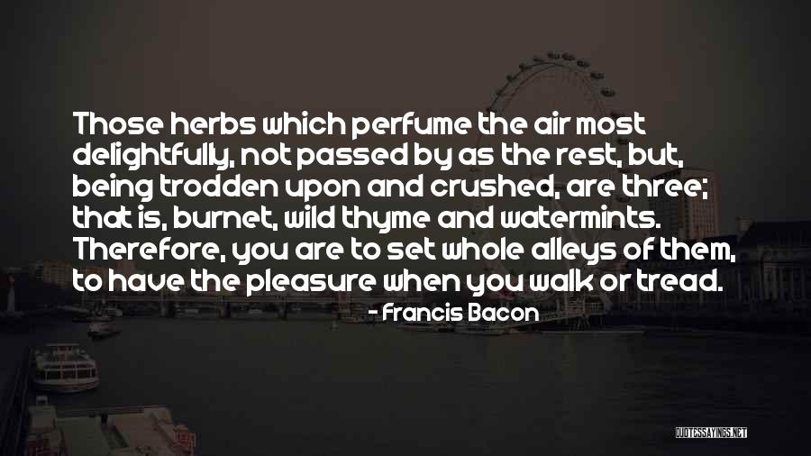 Ivette Sosa Quotes By Francis Bacon Ivette Sosa Quotes By Francis Bacon