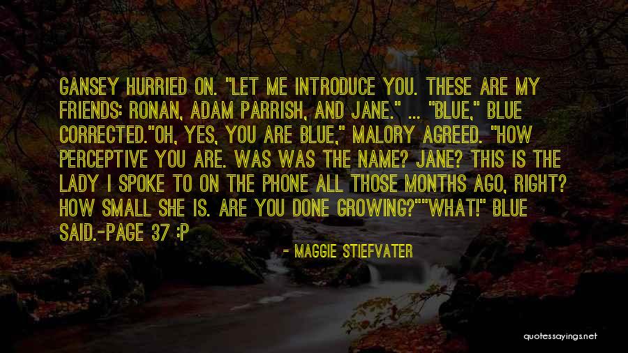 Ivgy Munich Quotes By Maggie Stiefvater Ivgy Munich Quotes By Maggie Stiefvater