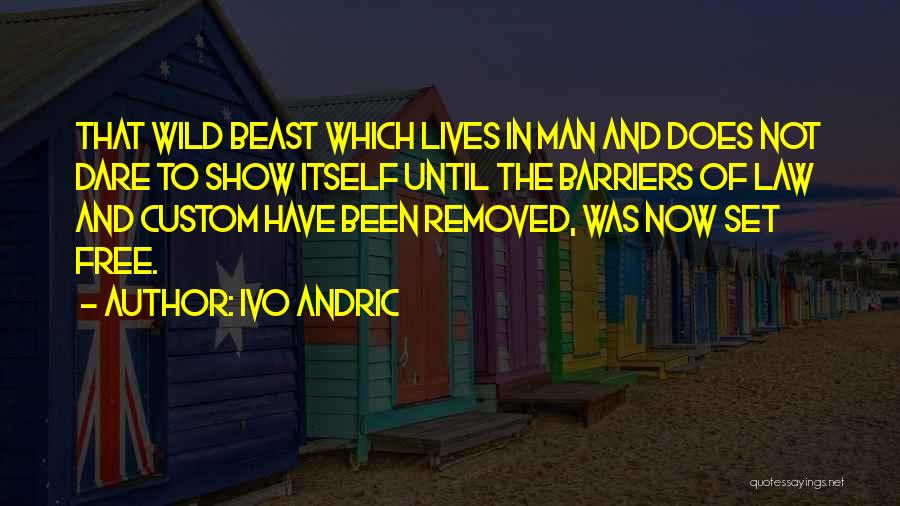 Ivo Andric Quotes 1474124