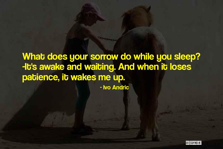 Ivo Quotes By Ivo Andric Ivo Quotes By Ivo Andric
