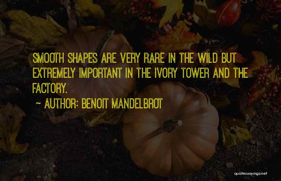 Ivory Tower Quotes By Benoit Mandelbrot