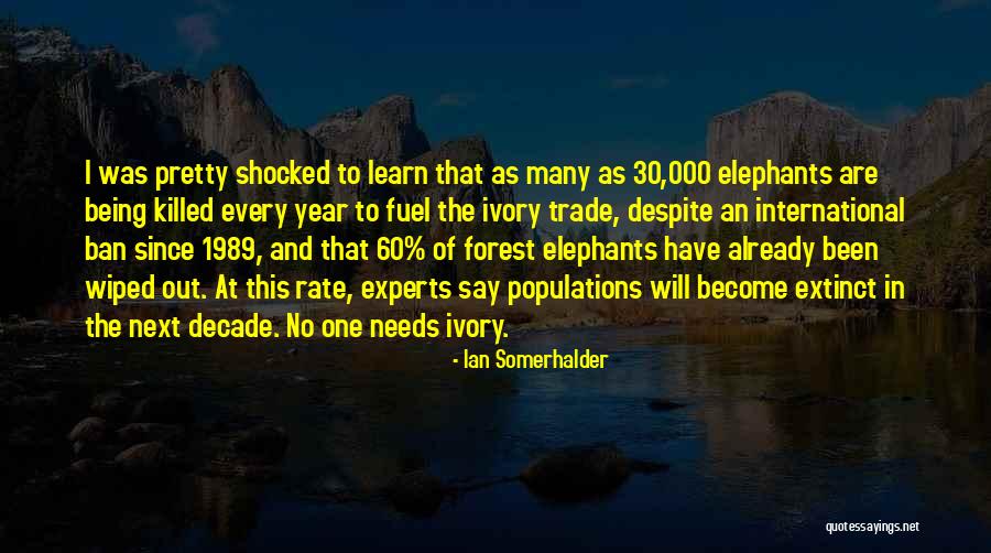 Ivory Trade Quotes By Ian Somerhalder