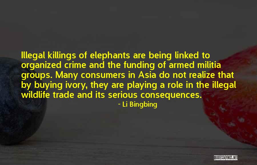 Ivory Trade Quotes By Li Bingbing