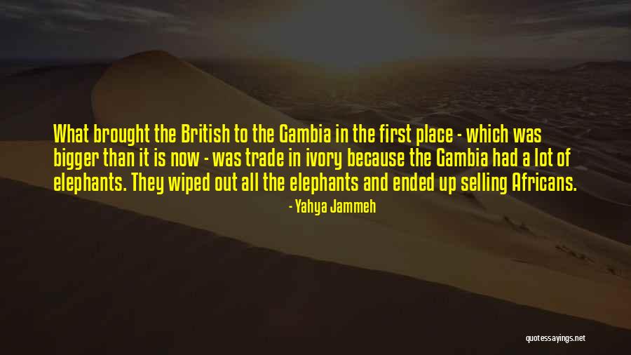 Ivory Trade Quotes By Yahya Jammeh