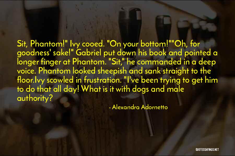 Ivy Quotes By Alexandra Adornetto Ivy Quotes By Alexandra Adornetto
