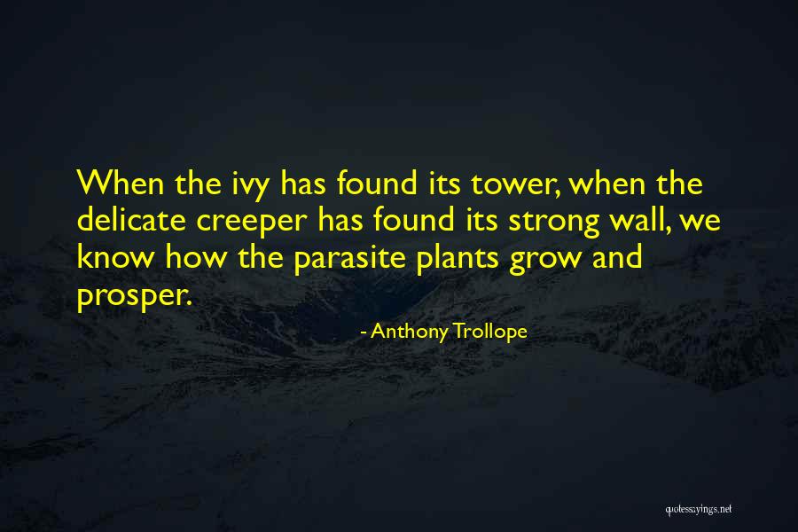 Ivy Quotes By Anthony Trollope