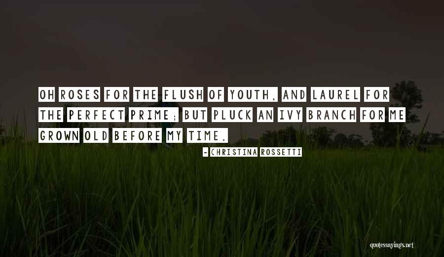Ivy Quotes By Christina Rossetti Ivy Quotes By Christina Rossetti