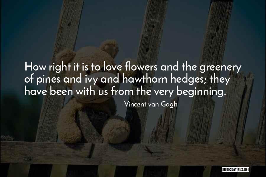 Ivy Quotes By Vincent Van Gogh