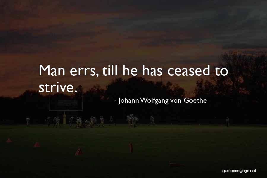 Iwaki Chiropractic Quotes By Johann Wolfgang Von Goethe