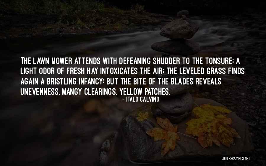 Iwatani Aburiya Quotes By Italo Calvino Iwatani Aburiya Quotes By Italo Calvino