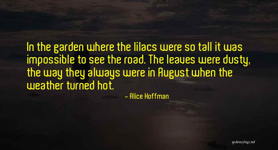 Iyana Quotes By Alice Hoffman Iyana Quotes By Alice Hoffman