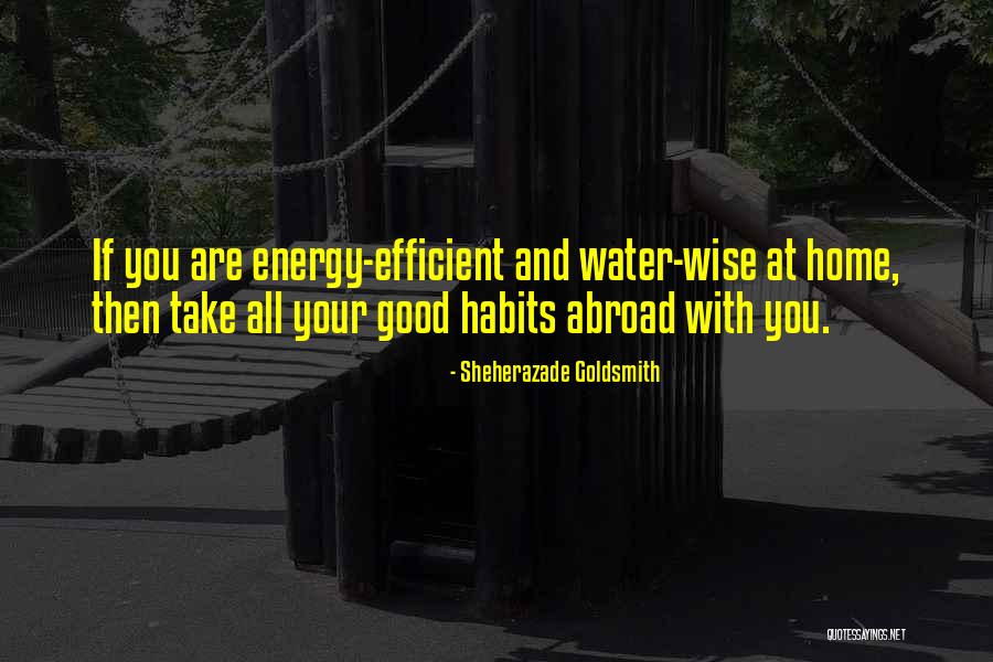 Iyasu Colonics Quotes By Sheherazade Goldsmith Iyasu Colonics Quotes By Sheherazade Goldsmith