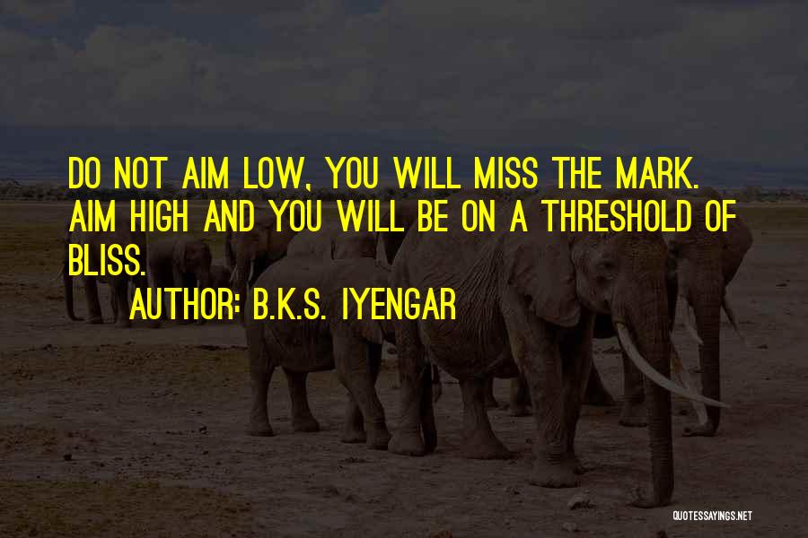 Iyengar Quotes By B.K.S. Iyengar