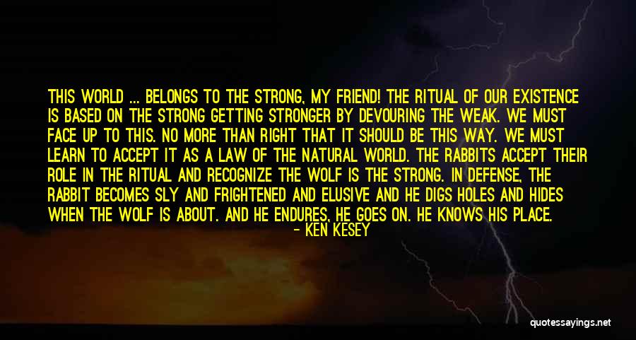 Iyilikten Quotes By Ken Kesey Iyilikten Quotes By Ken Kesey