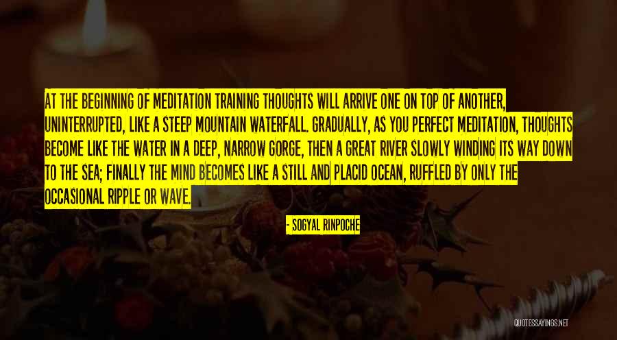 Iyilikten Quotes By Sogyal Rinpoche Iyilikten Quotes By Sogyal Rinpoche
