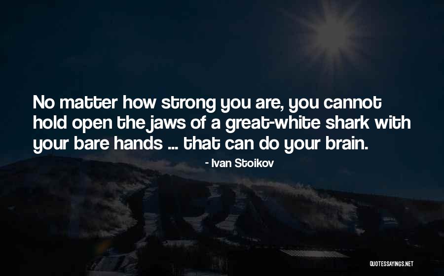 Iyingshi8 Quotes By Ivan Stoikov Iyingshi8 Quotes By Ivan Stoikov