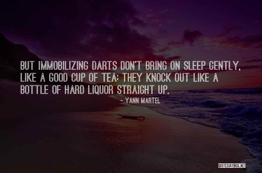 Iyisin Tabi Quotes By Yann Martel Iyisin Tabi Quotes By Yann Martel