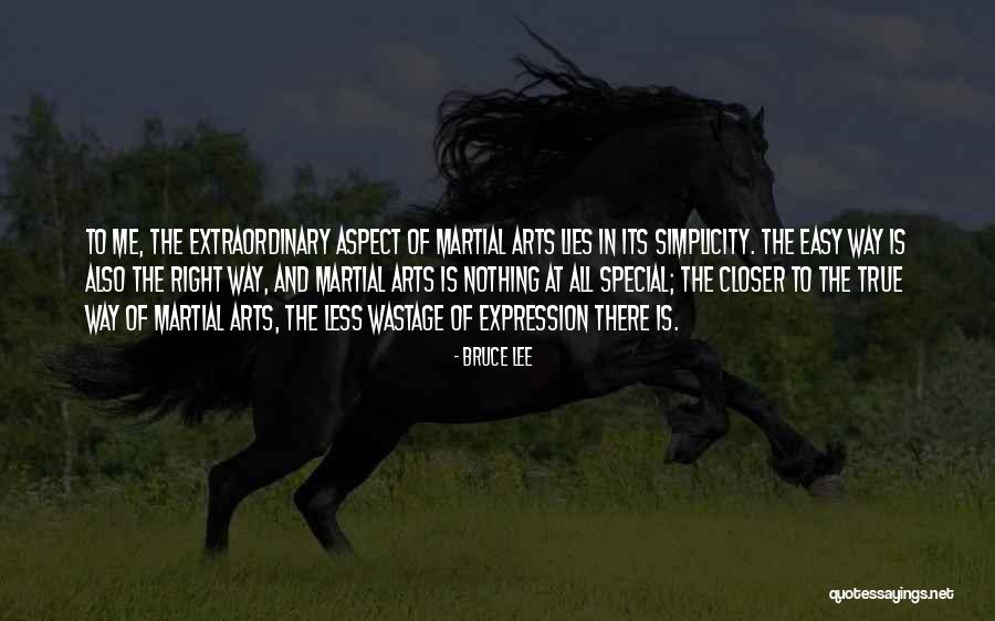 Izazivam Quotes By Bruce Lee Izazivam Quotes By Bruce Lee
