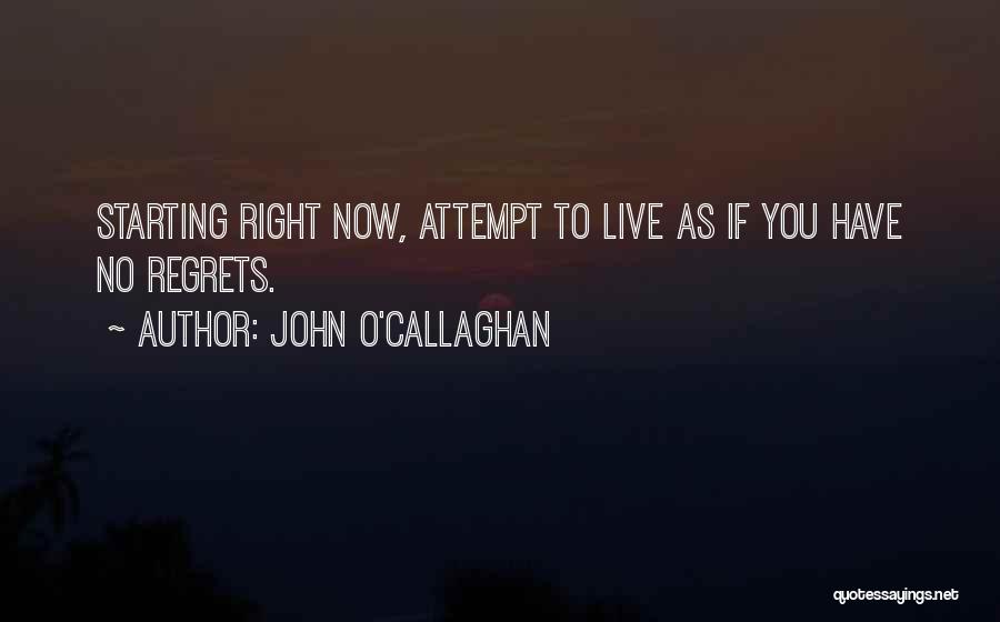 Izgalmas J T Kok Quotes By John O'Callaghan