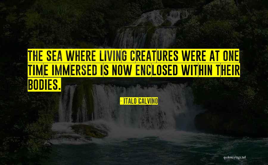 Izgovori Za Quotes By Italo Calvino Izgovori Za Quotes By Italo Calvino