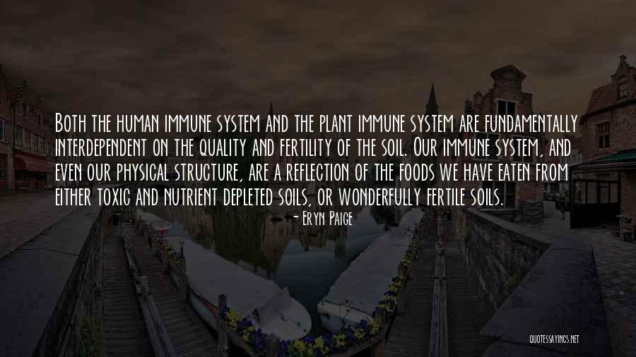 Izgubilasi Quotes By Eryn Paige Izgubilasi Quotes By Eryn Paige