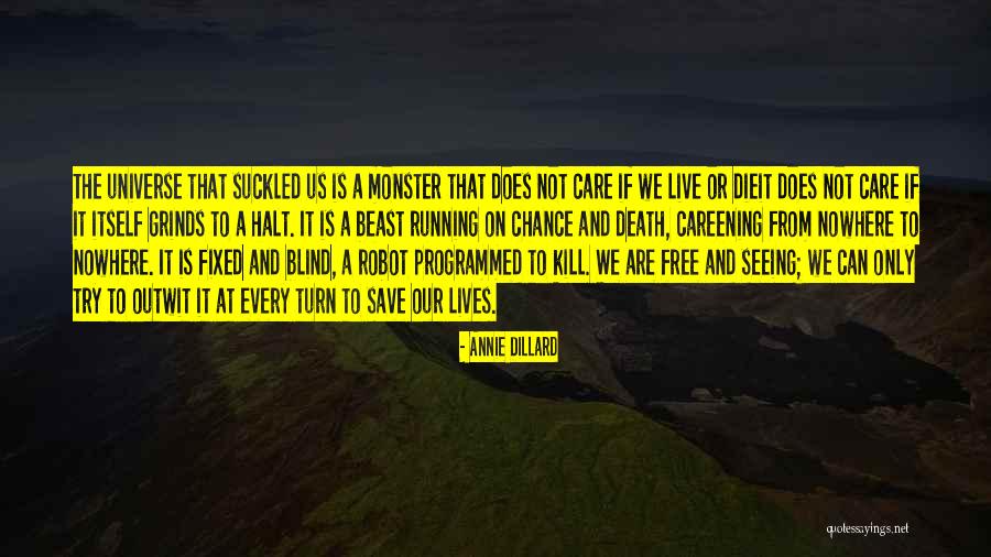 Izler Quotes By Annie Dillard