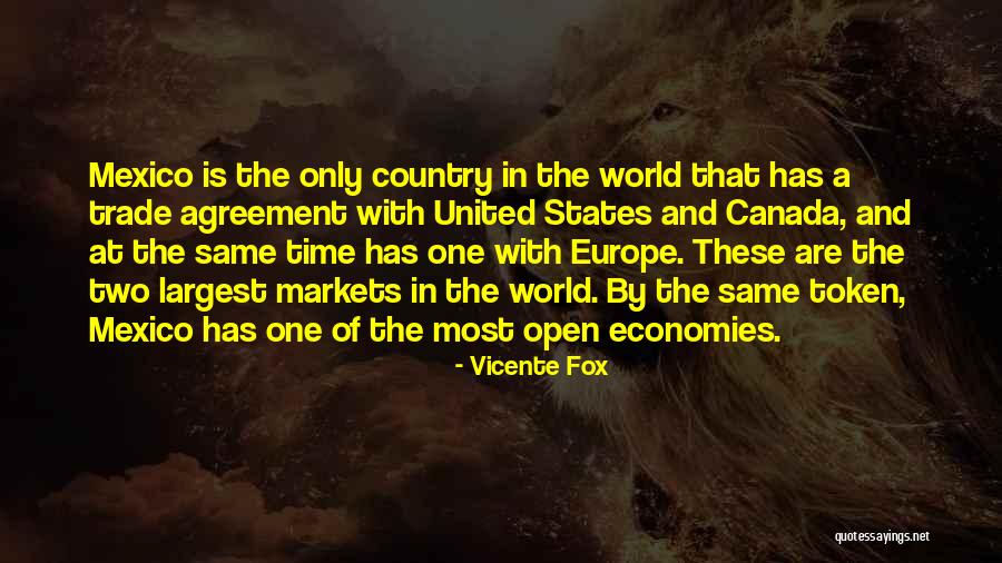 Izmaylovskaya Quotes By Vicente Fox Izmaylovskaya Quotes By Vicente Fox