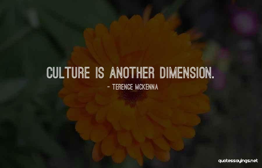 Izolater Quotes By Terence McKenna