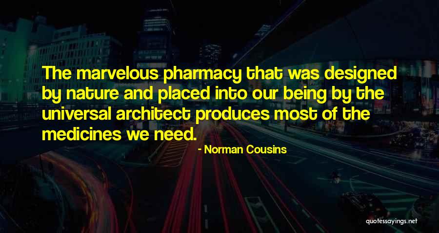 Iztopar Quotes By Norman Cousins Iztopar Quotes By Norman Cousins
