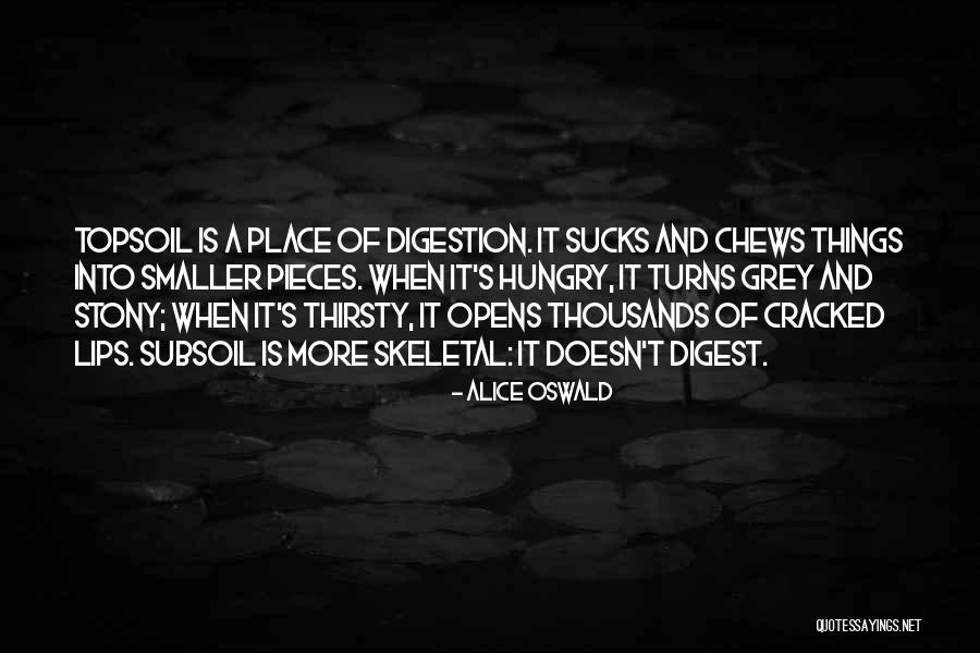 Izumidal Quotes By Alice Oswald Izumidal Quotes By Alice Oswald