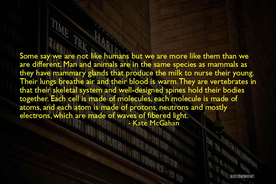 Izumo Machi Nagasaki Quotes By Kate McGahan Izumo Machi Nagasaki Quotes By Kate McGahan