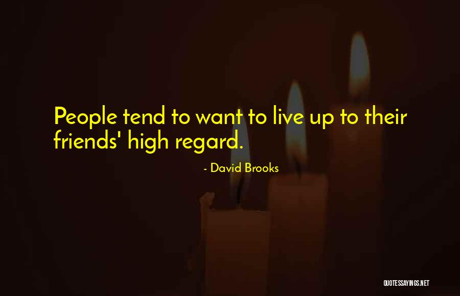 Izutsu Hiroyuki Quotes By David Brooks