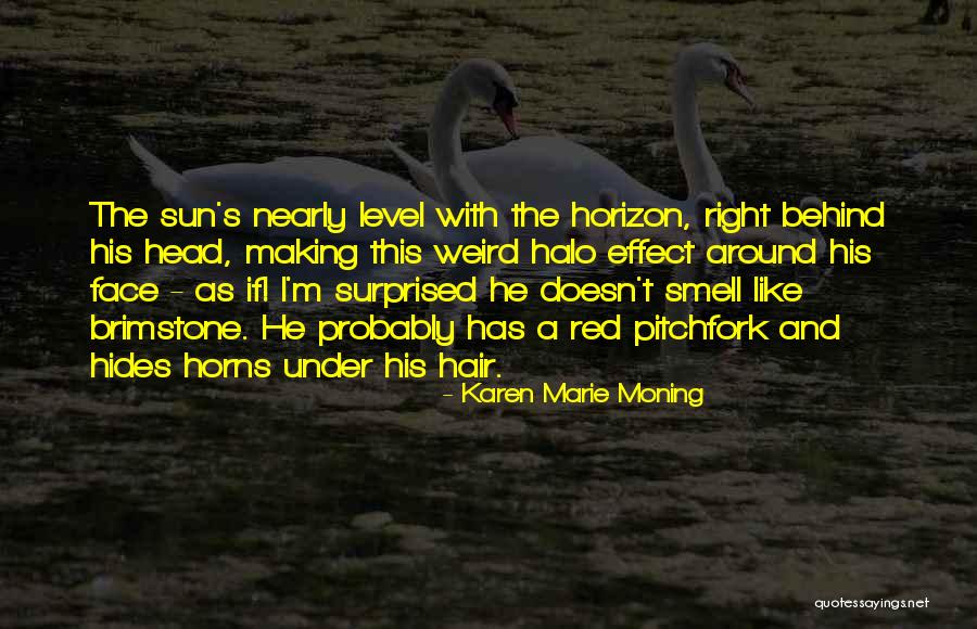 Izzard Do You Have A Flag Quotes By Karen Marie Moning Izzard Do You Have A Flag Quotes By Karen Marie Moning