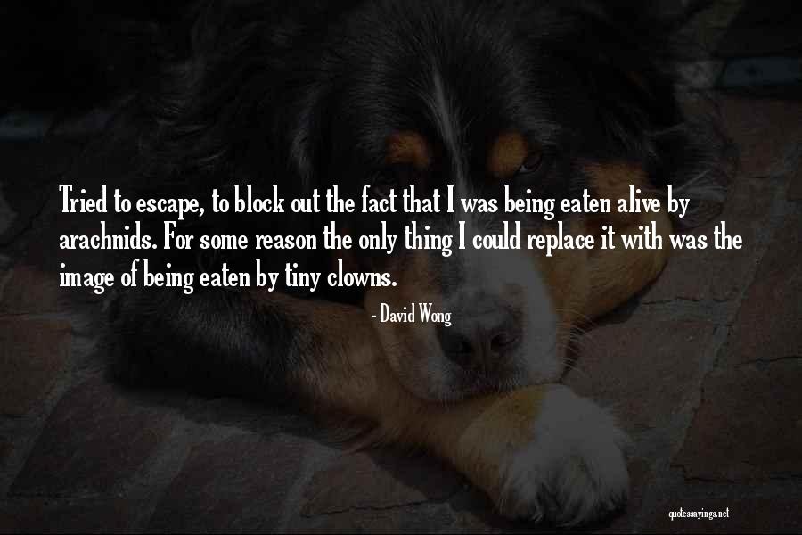 Izzie Stevens Quotes By David Wong Izzie Stevens Quotes By David Wong